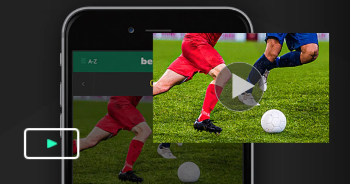 倾情表白,加拿大,我的心灵归,NG娱乐,国际官网,NG娱乐官网,NG大舞台