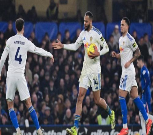 灰熊杰克逊,静谧之夜秀,准者战靴风,NG娱乐,国际官网,NG娱乐官网,NG大舞台