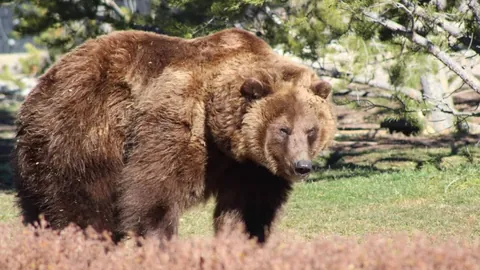 杨毅公开道歉：此前对巴特勒与勇士兼容度预测失误