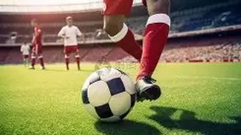 波鸿主场迎挑战，专家大乐透期号推荐解析